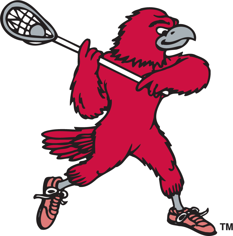 St. Joseph's Hawks 1995-2002 Secondary Logo v7 iron on transfers for T-shirts